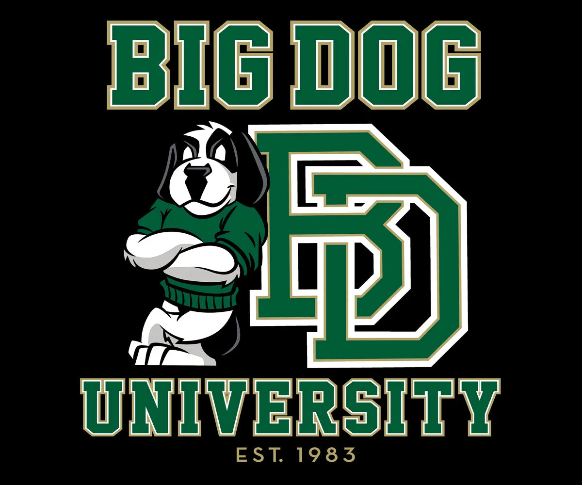 Bd University Green Gold T-Shirt