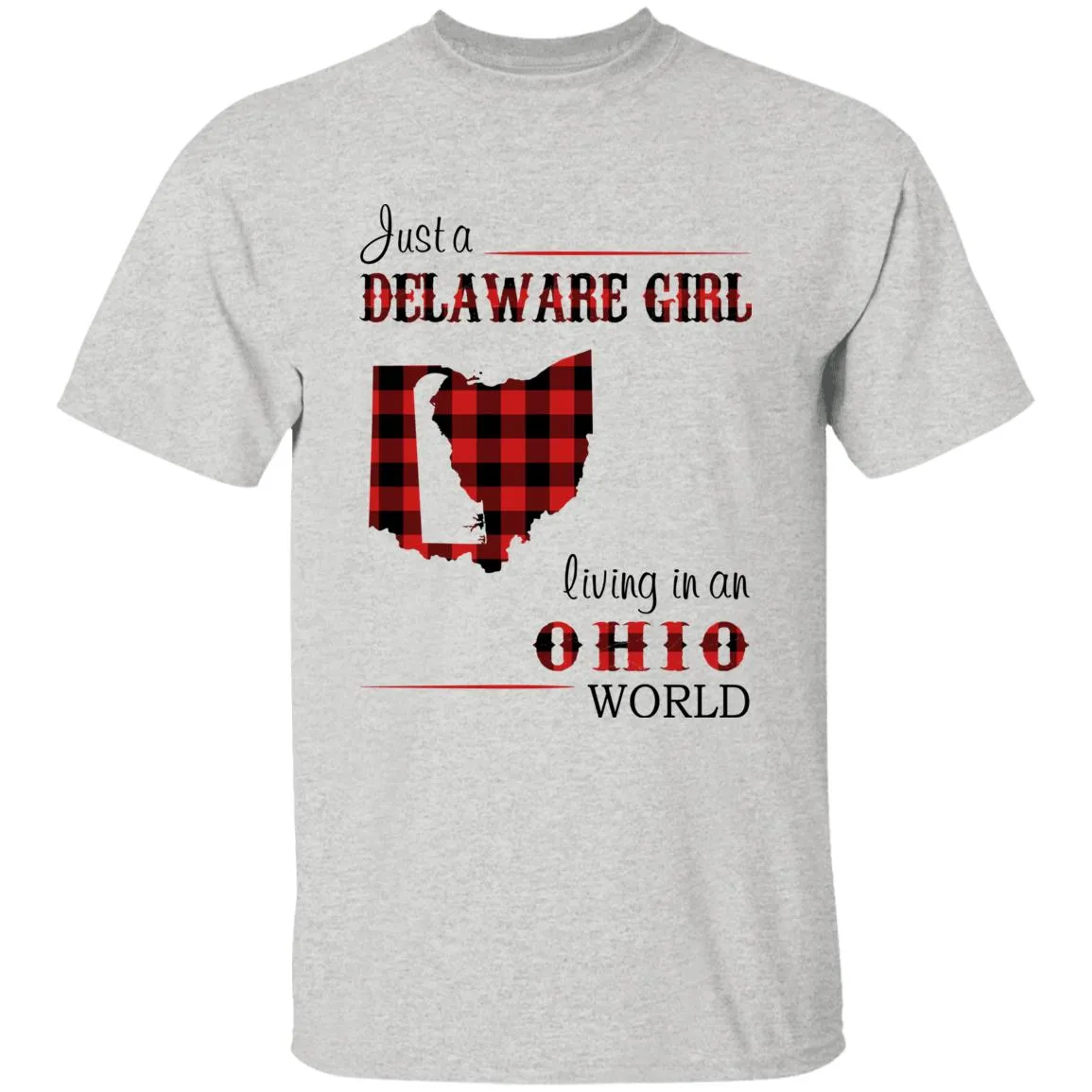 Just A Delaware Girl Living In An Ohio World T-Shirt