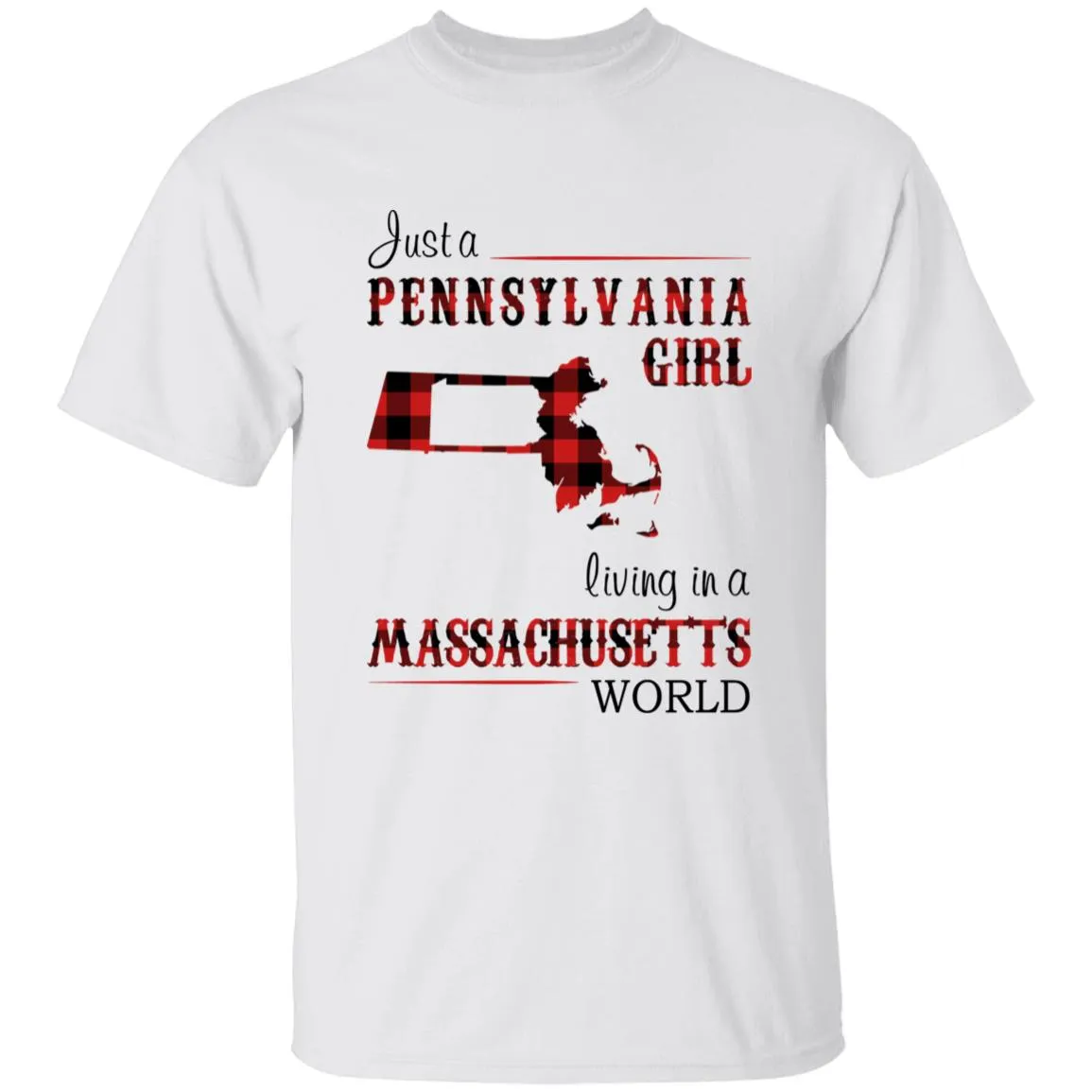 Just A Pennsylvania Girl Living In A Massachusetts  World T-shirt
