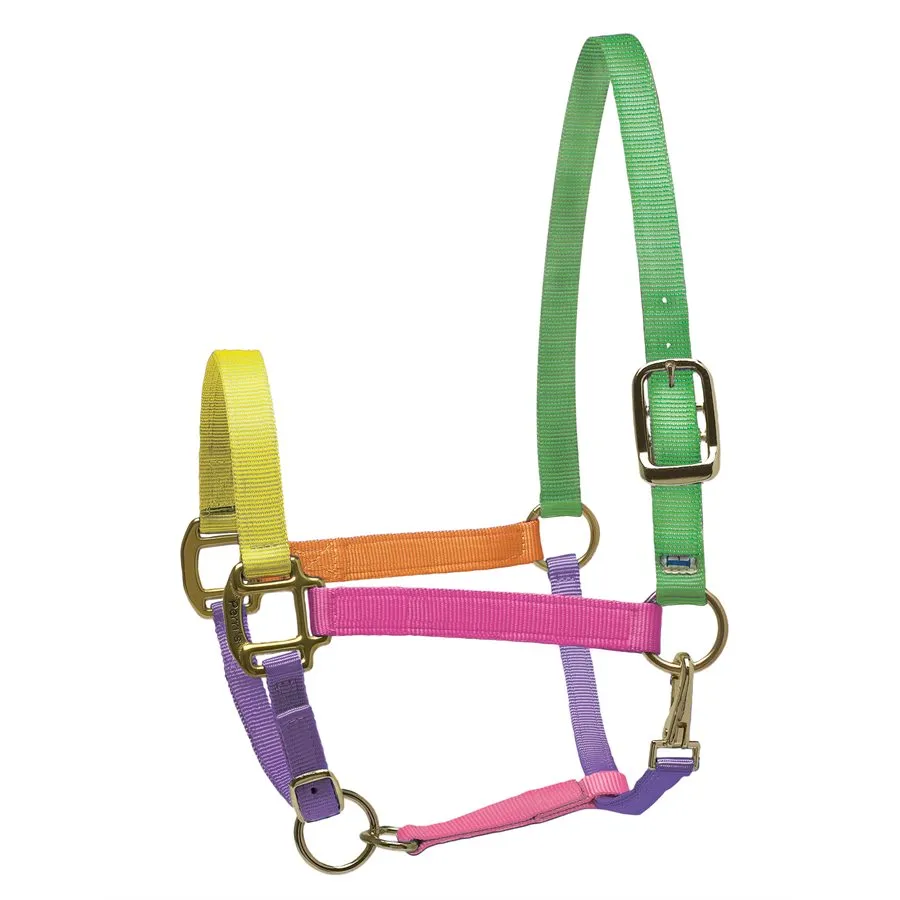 Perri's Nylon Superhalter