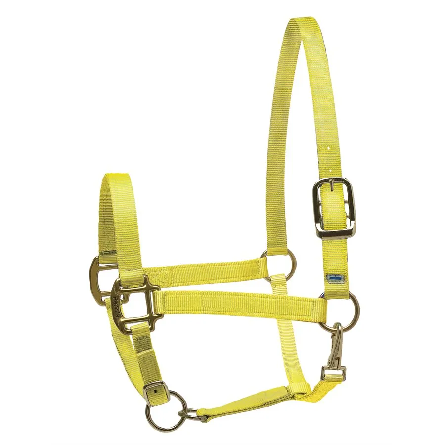 Perri's Nylon Superhalter