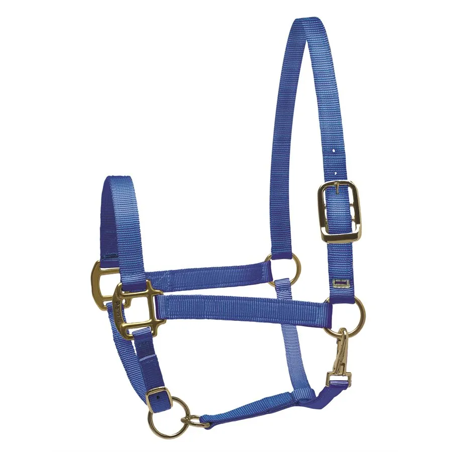 Perri's Nylon Superhalter