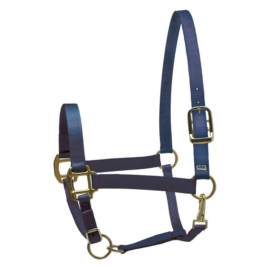 Perri's Nylon Superhalter