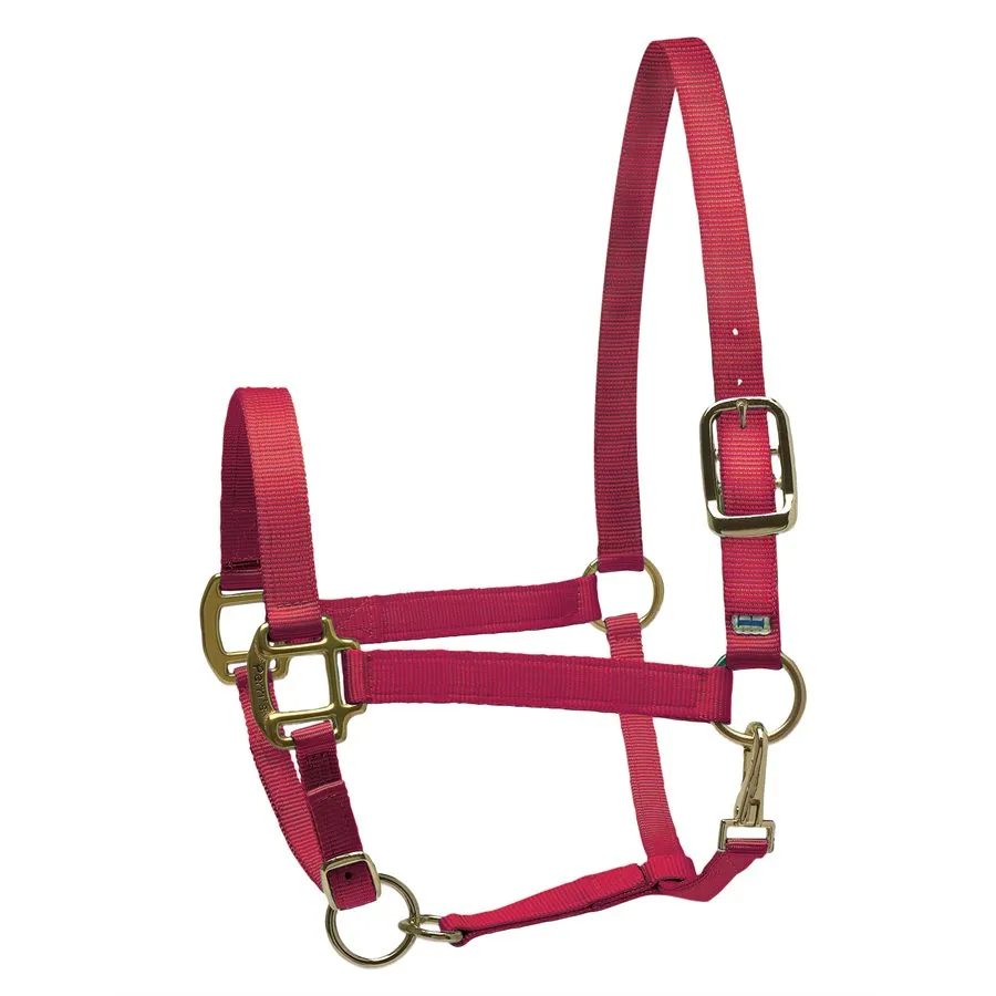 Perri's Nylon Superhalter