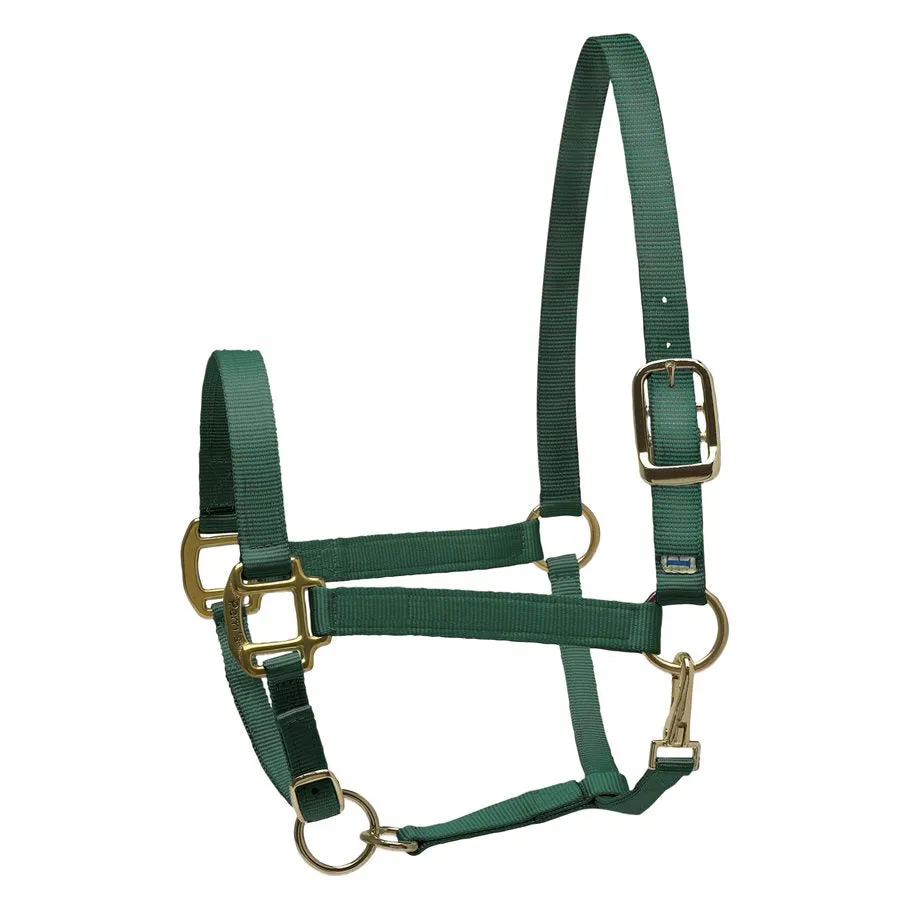 Perri's Nylon Superhalter
