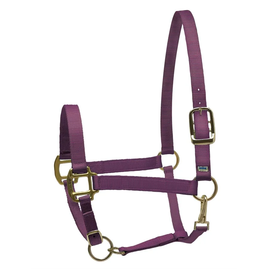 Perri's Nylon Superhalter