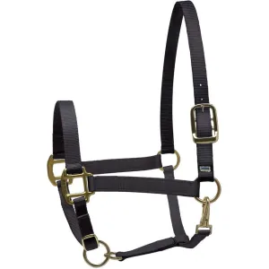 Perri's Nylon Superhalter