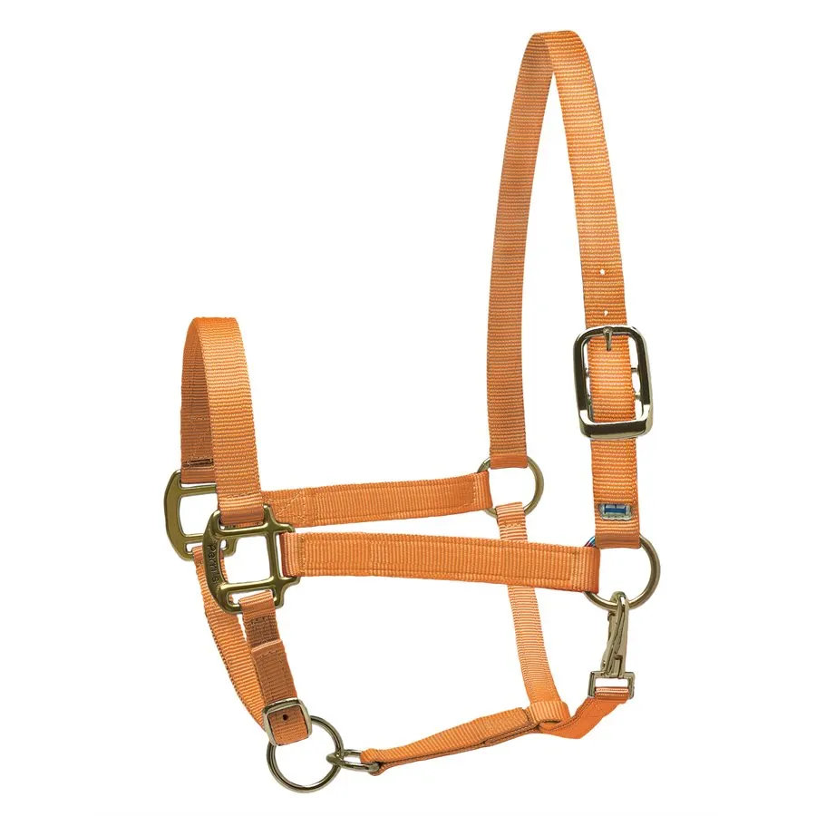 Perri's Nylon Superhalter