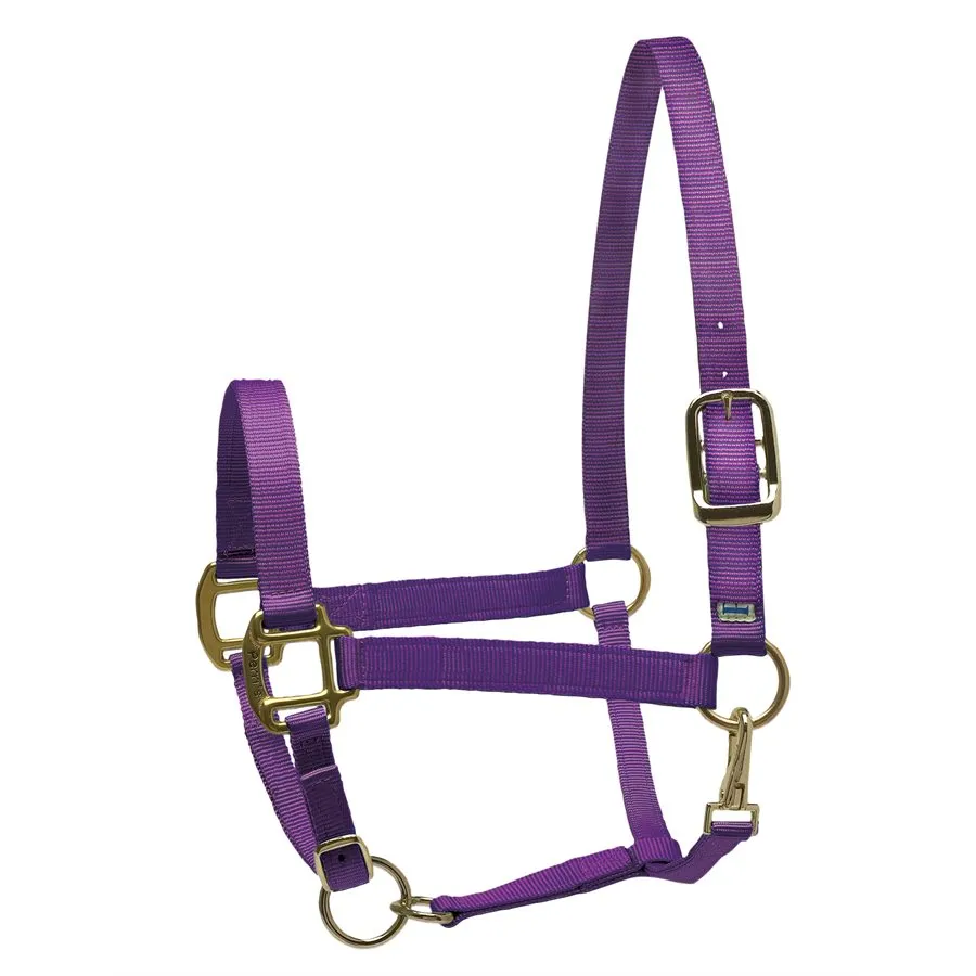 Perri's Nylon Superhalter