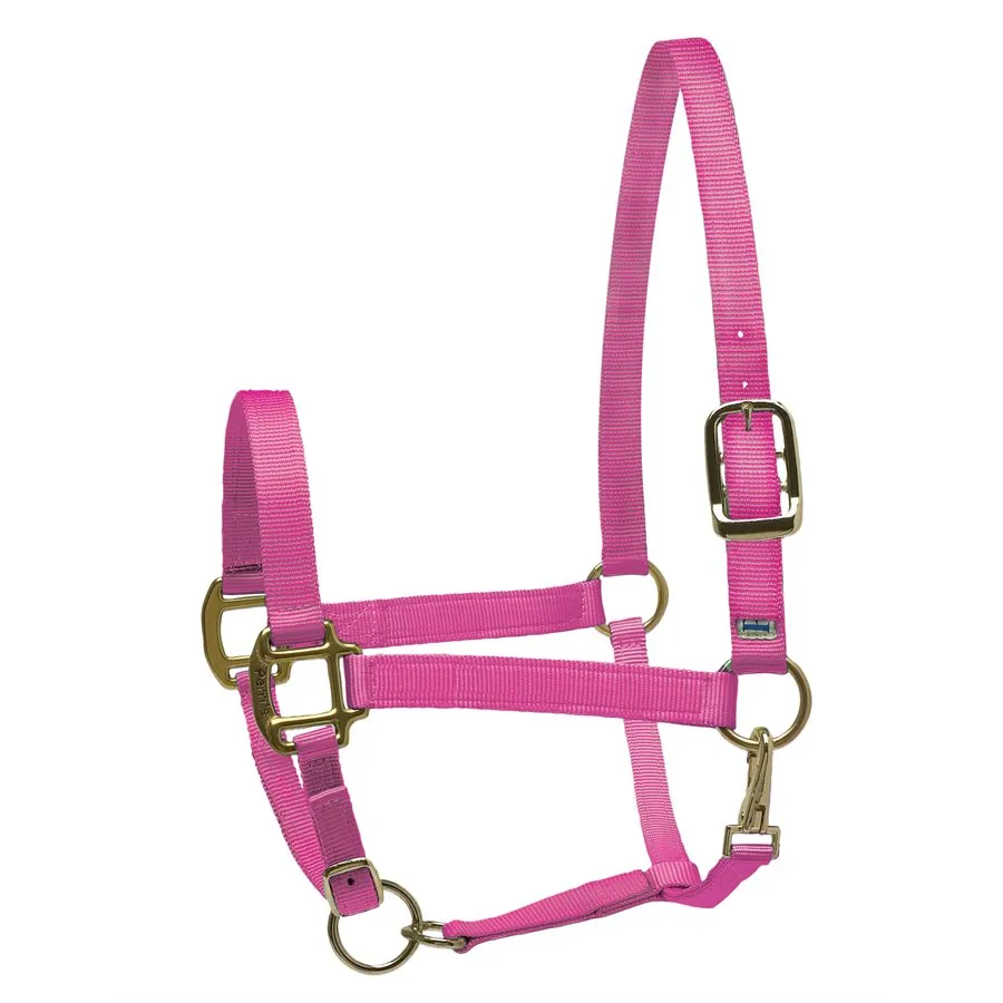 Perri's Nylon Superhalter