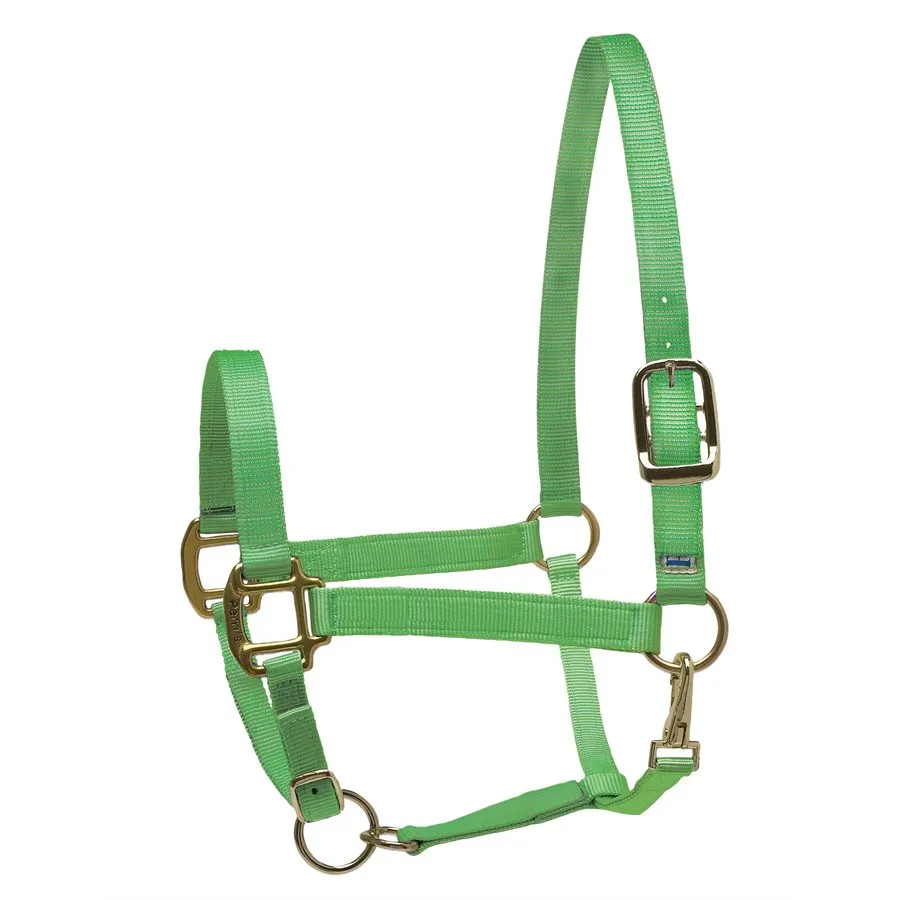 Perri's Nylon Superhalter
