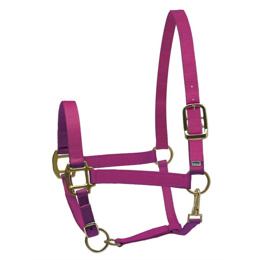 Perri's Nylon Superhalter